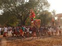 mangad-pooram-2012 (23)